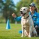Advanced Labrador Training: Effective Techniques for Mastering Your Dog's Behavior